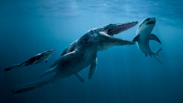 Dinosaurios