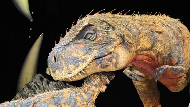 Dinosaurios