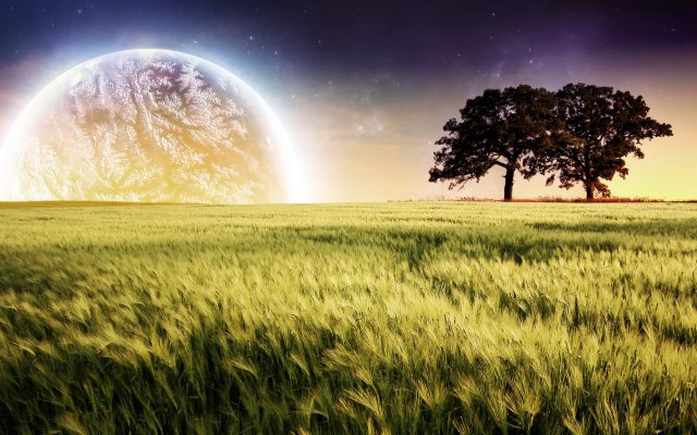 Gaia