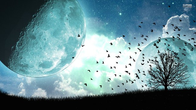 Gaia