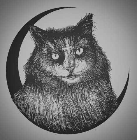 Cosmic deliverance