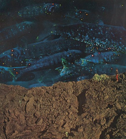 Cosmic deliverance