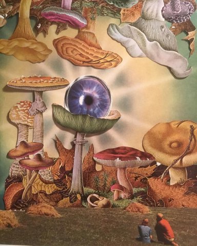 Cosmic deliverance