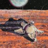 Cosmic deliverance