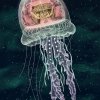 Cosmic deliverance