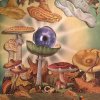 Cosmic deliverance