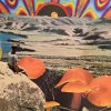 Cosmic deliverance